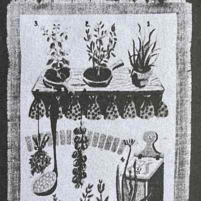 Wallhanging: A Few Herbs 254