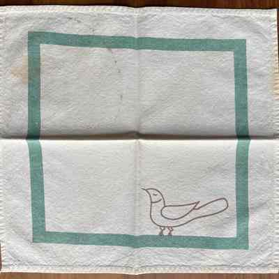 Napkin