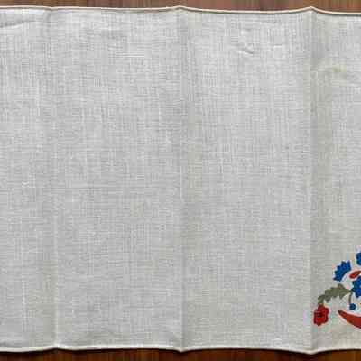 Napkin