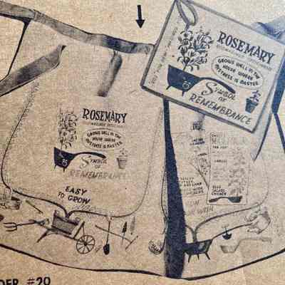 Kitchen, Apron: Herb Chart U320 (Later Version)