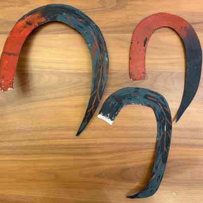 Individual tail feathers.