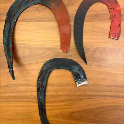 Other side of tail feathers.