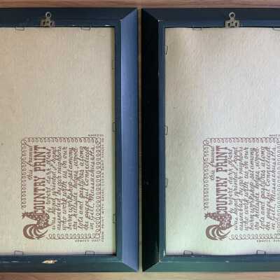 Back of frames, Roosters at left, Hens at right