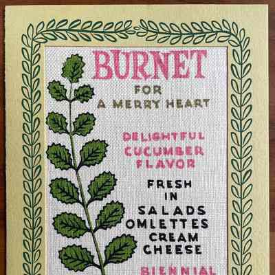 Matching notecard from Herb Notes 236 set printed from the same screens as the wallhanging.: Collection of Sara Leeper.