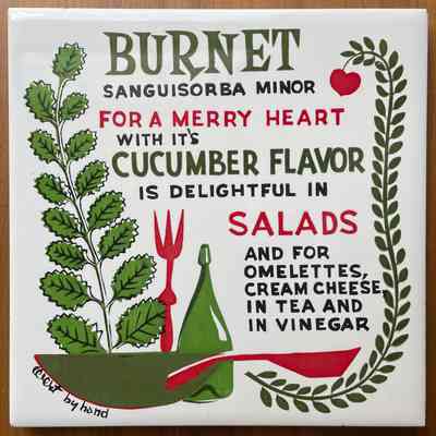 Tile: Herbs, Burnet T-73