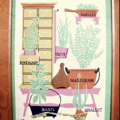 Herbs with spice cabinet.