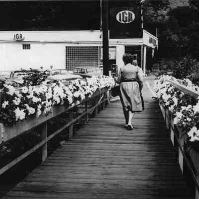 Camden IGA Foodliner, Tannery Lane, circa 1950