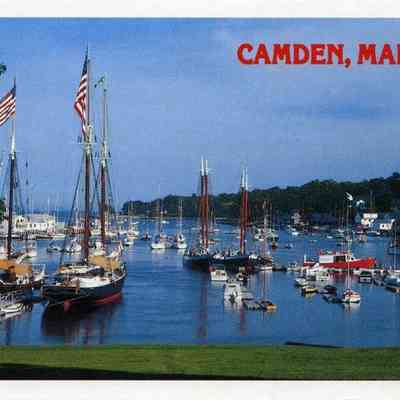 Milliken Collection 038