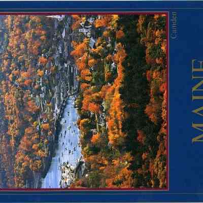 Milliken Collection 040