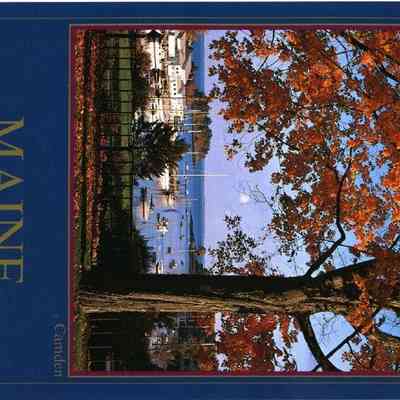 Milliken Collection 041