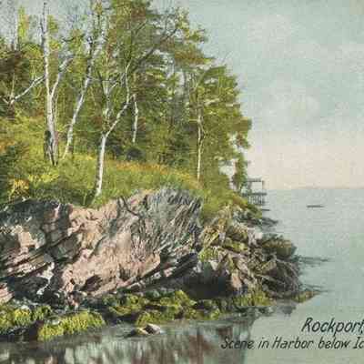 Bowley Collection Postcard 051