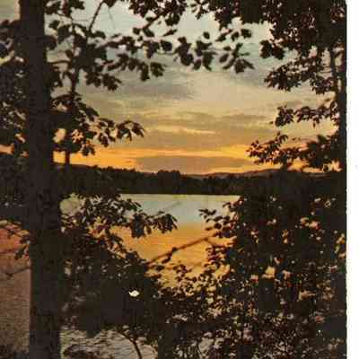 Pat Jones Postcard Collection 066