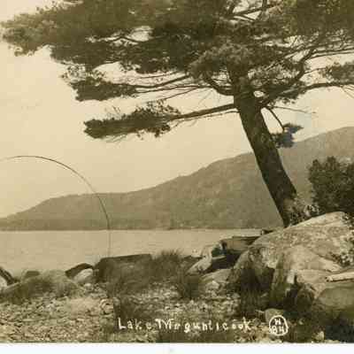 Pat Jones Postcard Collection 068