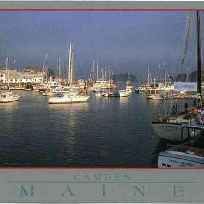 Milliken Collection 047