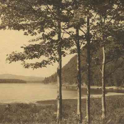 Bowley Collection Postcard 055