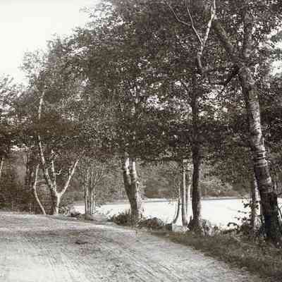 Barrett's Cove, Turnpike Road