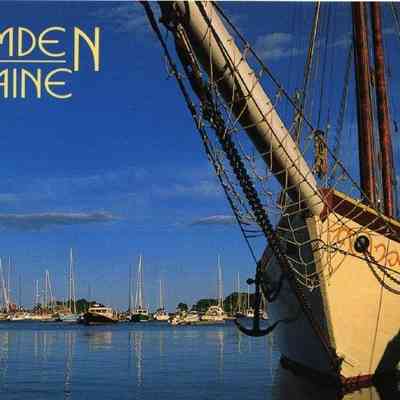 Milliken Collection 052