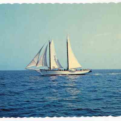 Pat Jones Postcard Collection 290