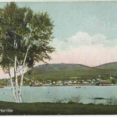 Bowley Collection Postcard 183