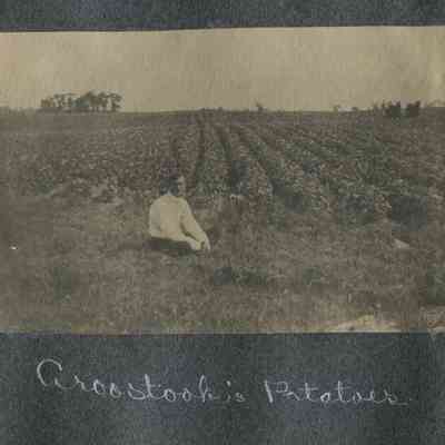 Aroostook Potatoes_p077