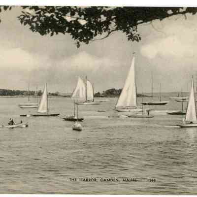 Pat Jones Postcard Collection 292