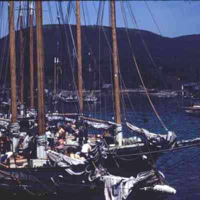 Camden harbor: Origformat: Slide