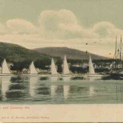 Bowley Collection Postcard 061