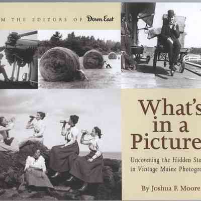 What's in a Picture?