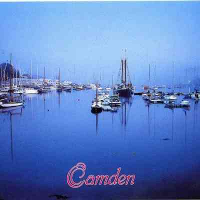 Milliken Collection 060