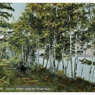 Pat Jones Postcard Collection 296