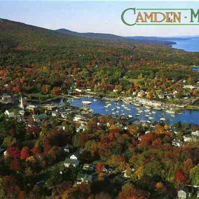 Milliken Collection 061