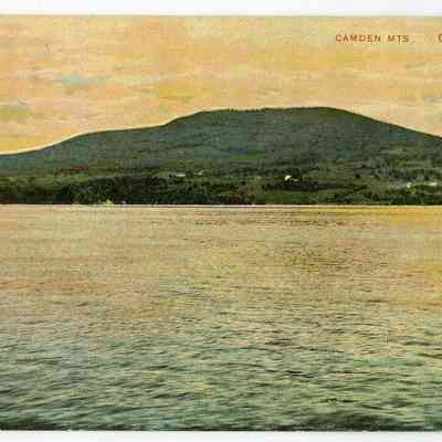 Pat Jones Postcard Collection 298