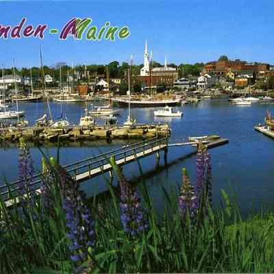 Milliken Collection 063