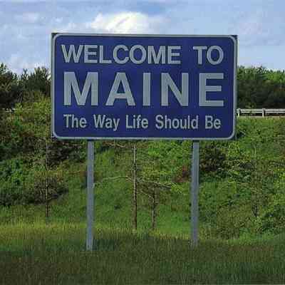 Milliken Collection 064