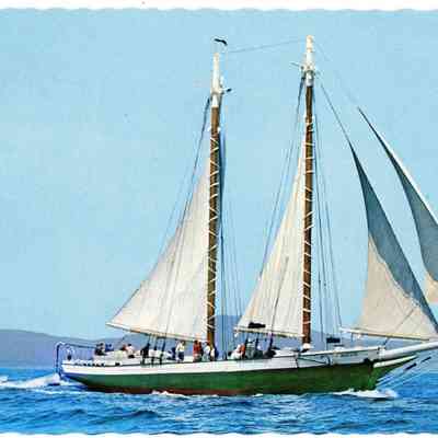 Pat Jones Postcard Collection 300