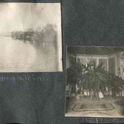 Georges River, The Plants_p044