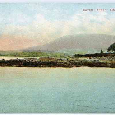 Pat Jones Postcard Collection 301