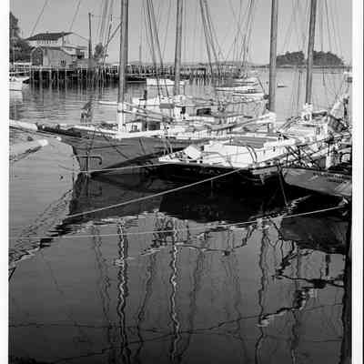 Windjammer cruising fleet in Camden harbor