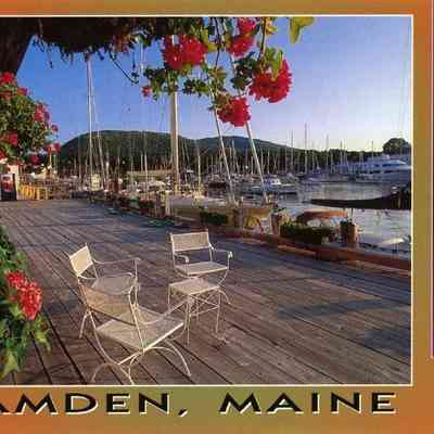 Milliken Collection 068