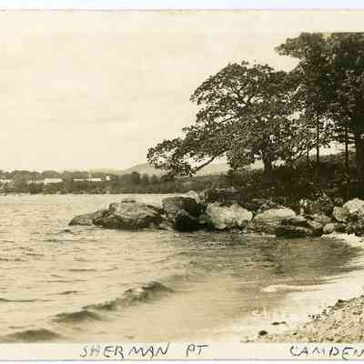 Pat Jones Postcard Collection 305