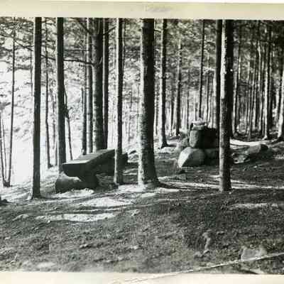 Camden Hills State Park008