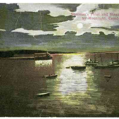 Pat Jones Postcard Collection 307