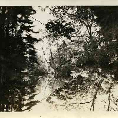 Camden Hills State Park009