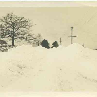 Molyneaux Road in winter.
