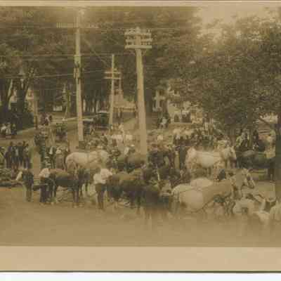 Bowley Collection Postcard 195