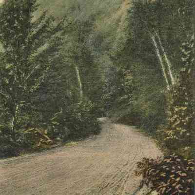 Bowley Collection Postcard 073 A