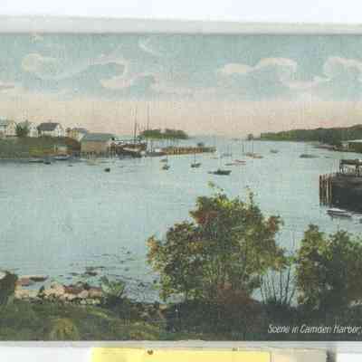 Phyllis Young Collection    006