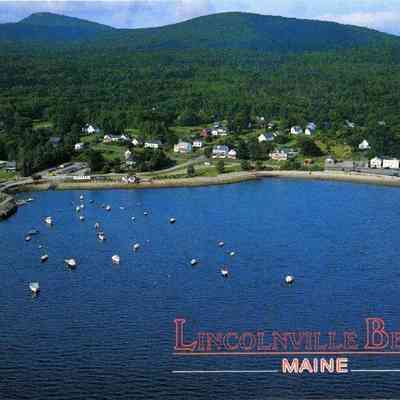 Milliken Collection 076