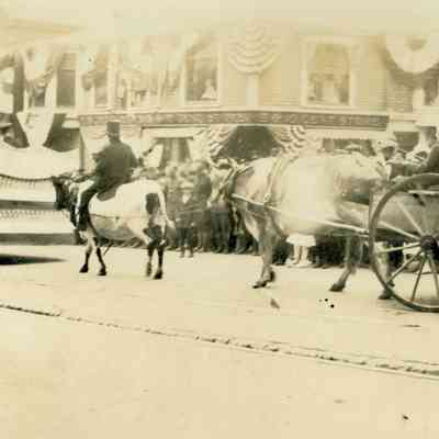 WWI parade 1: Origformat: Book; Resolution: 100 dpi