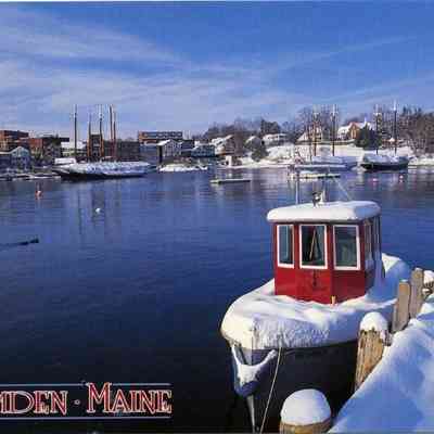 Milliken Collection 077